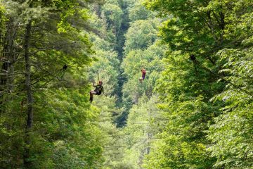 berkshire-east-mountain-resort-zipline-zip-line-adventure