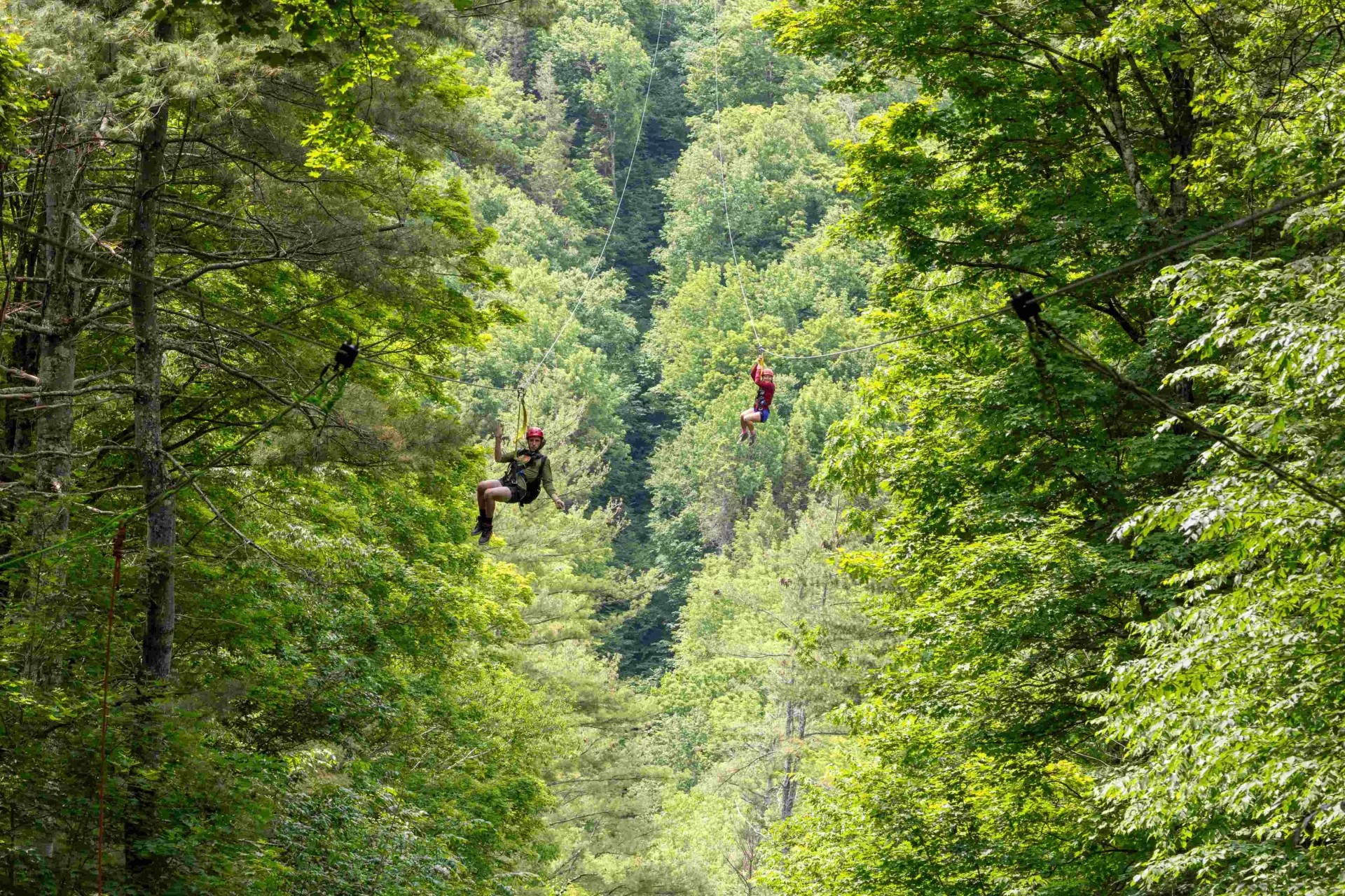 berkshire-east-mountain-resort-zipline-zip-line-adventure