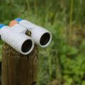 nocs-provisions-spring-migration-audubon-society-binoculars