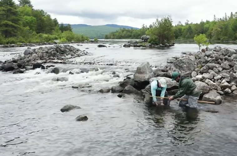 maine-rapid-river-fishing-explore-new-england
