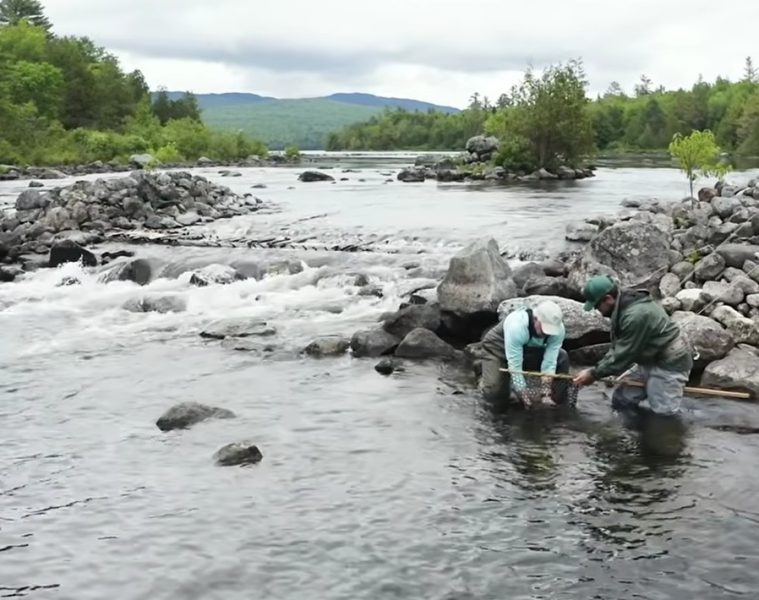 maine-rapid-river-fishing-explore-new-england